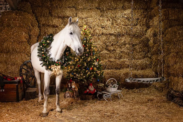 ¡Feliz Navidad de parte de todo el equipo de Chacco Marketing!