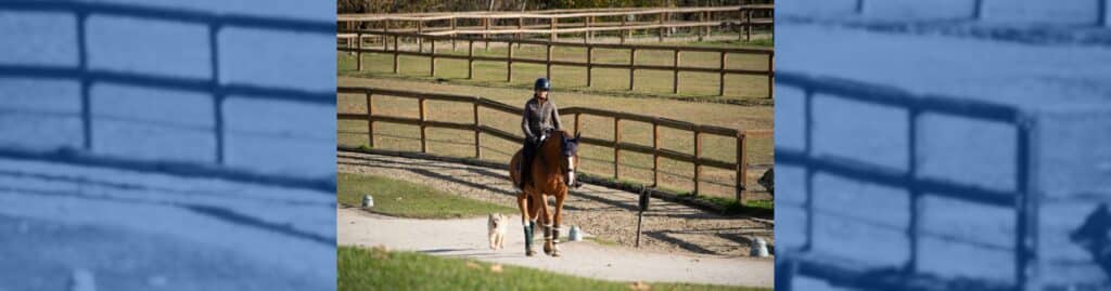 Villa Equus Beatriz Ferrer-Salat