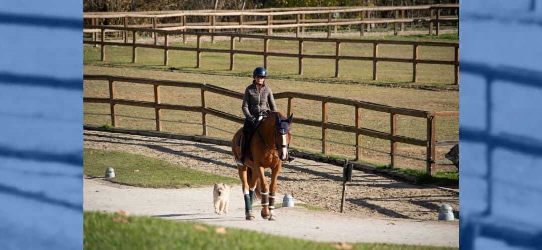 Villa Equus, donde la armonía entre caballo y jinete es la clave del éxito