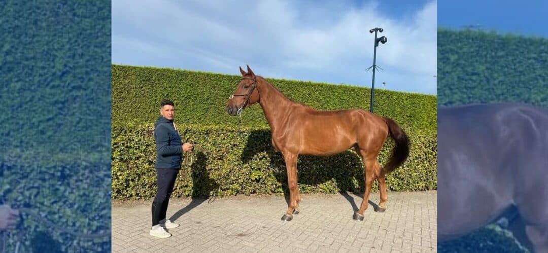 Debut de Arezzo de Llamosas con Armando Trapote en el Andalucía Pre-Sunshine Tour 2025