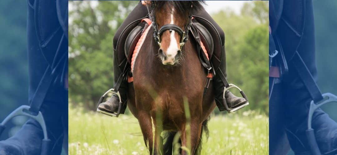 Más allá de las riendas y los estribos: la comunicación con el caballo