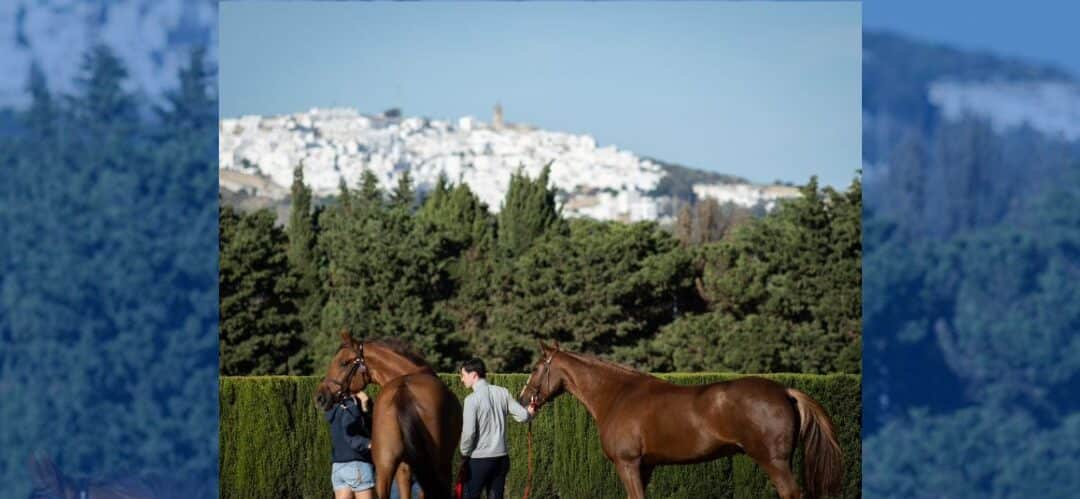 España lidera la participación en el Andalucía Pre-Sunshine Tour 2025