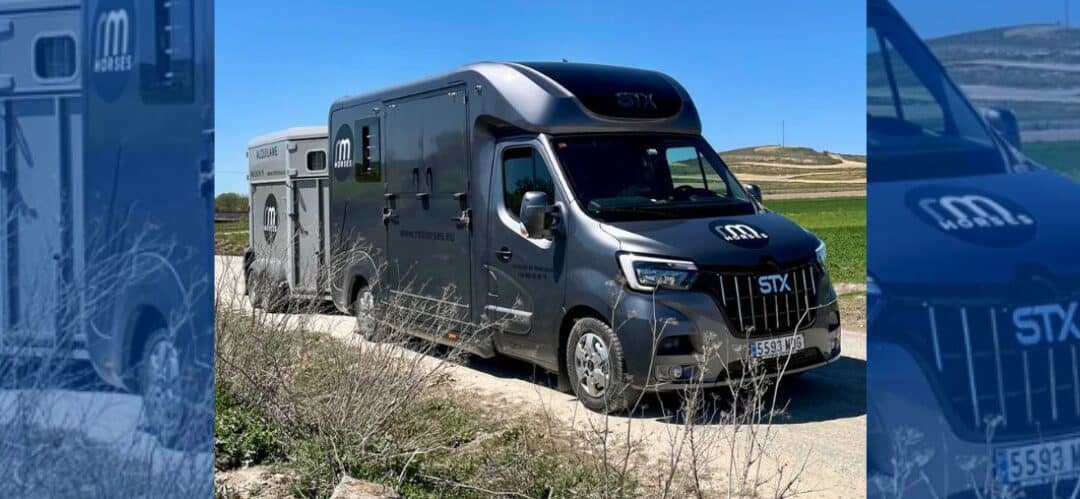 RM Horses: Tu aliado en transporte equino con servicios integrales