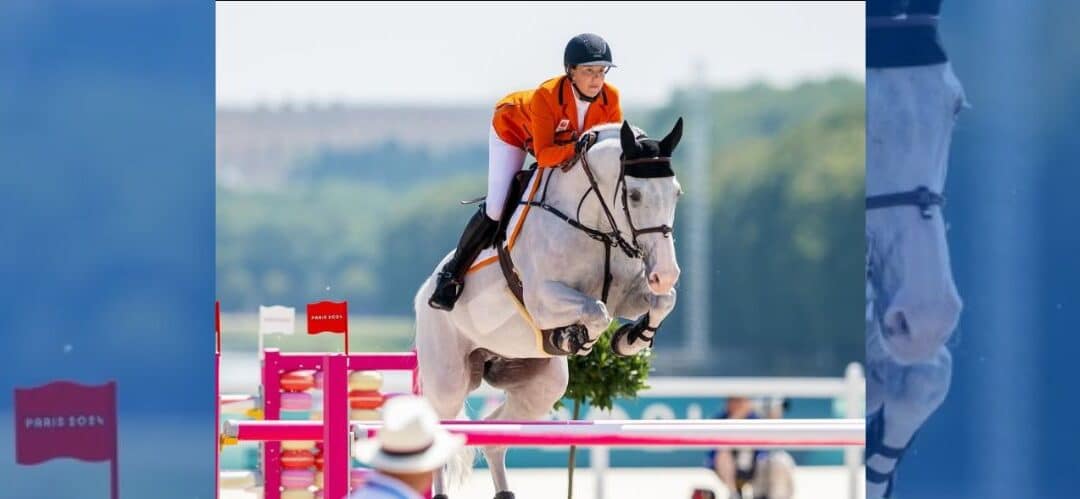 Imagine nombrado Caballo KWPN de Salto de Obstáculos del Año 2024