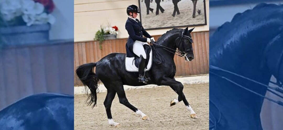 Wellington da la bienvenida a Friesen Ball, caballo estrella de la Doma Clásica