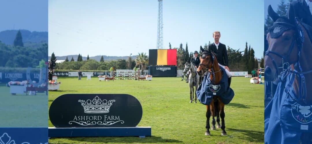 Saladin S, Danubios y Charisme de la Marchette, vencedores de las finales de caballos jóvenes