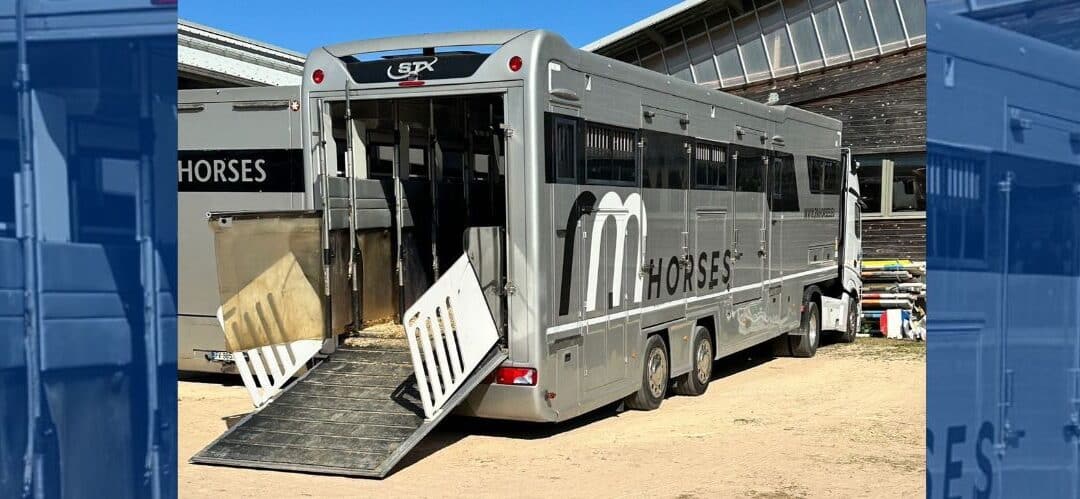 Nuevas rutas de transporte con RM Horses