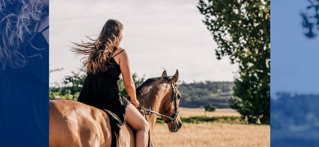 La doma natural y el transporte equino