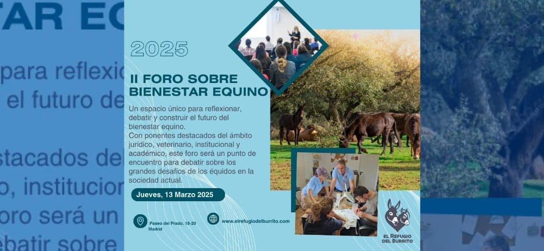 II Foro de Bienestar Equino: un encuentro clave para el futuro de la protección de los équidos