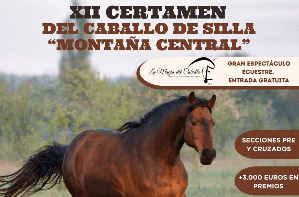 Últimos días de apertura de inscripciones para el XII Certamen de Caballo de Silla de Montaña Central