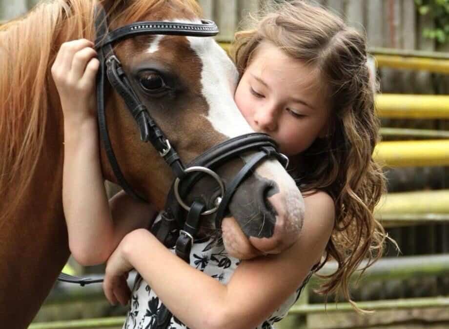 Posiciónate con alma: Eleva tu escuela ecuestre más allá del precio