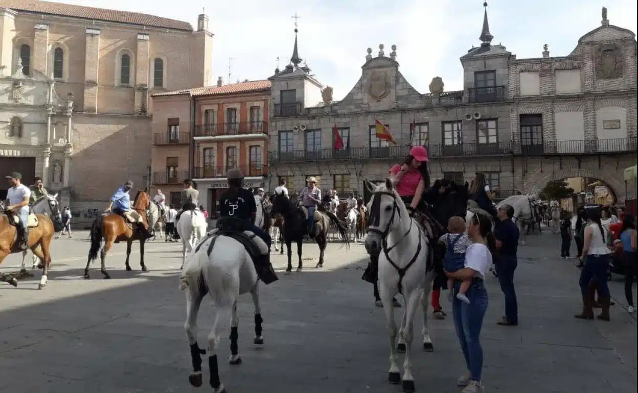 Medina del Campo acogerá su Feria del Caballo los días 21 y 22 de junio ...