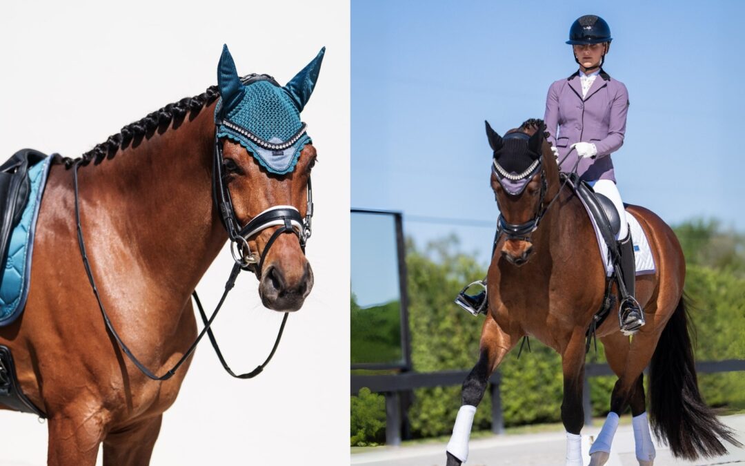 Empoderando a las amazonas: El otoño más ambicioso de Equestrian Stockholm