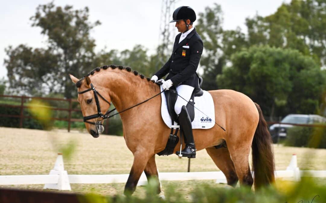 José Antonio García Mena imparable en la prueba de 5 años Preliminar del CDN** C. ANCCE XII Equestrian Weekend Ciudad Jerez