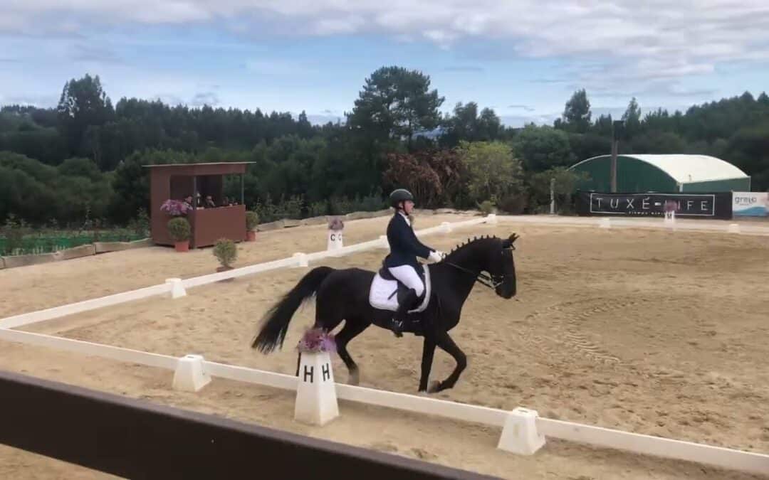 El Campeonato Gallego de Doma Clásica dará comienzo mañana
