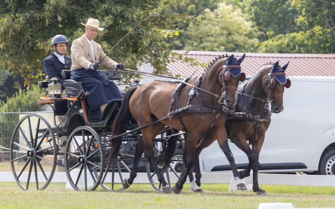 España en el Mundial de Enganches para Troncos en Beekbergen 2025