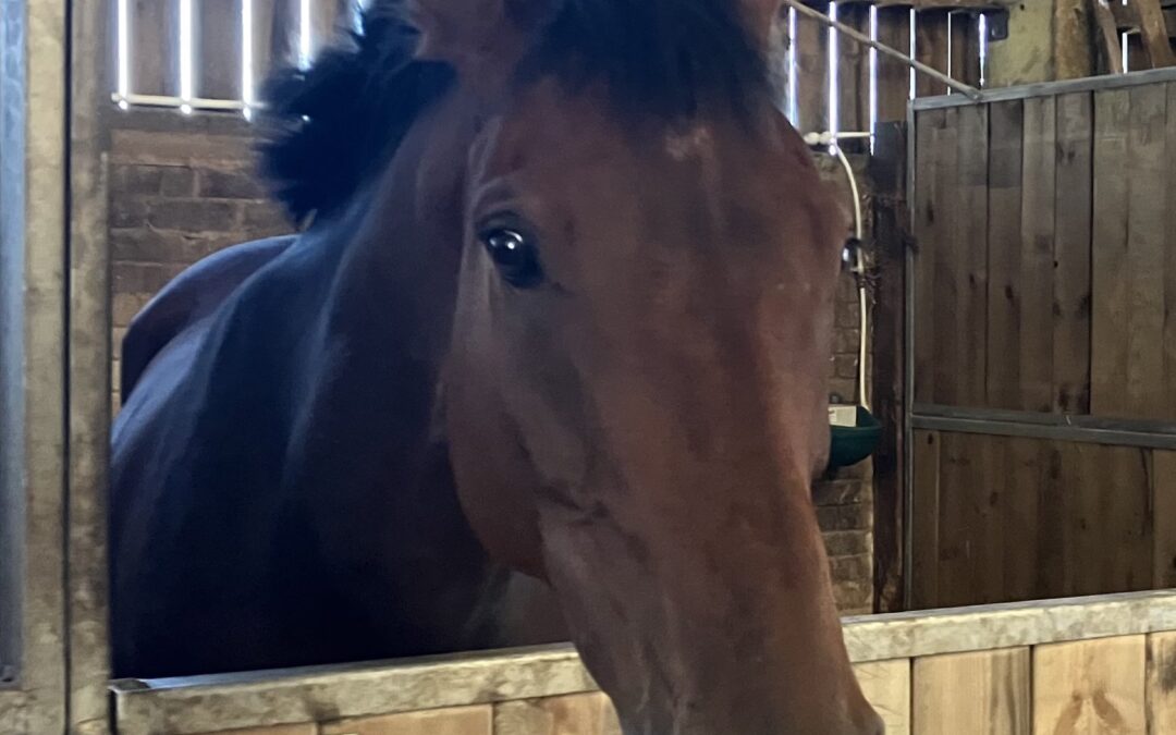 Tragedia en el hipódromo de Cartmel