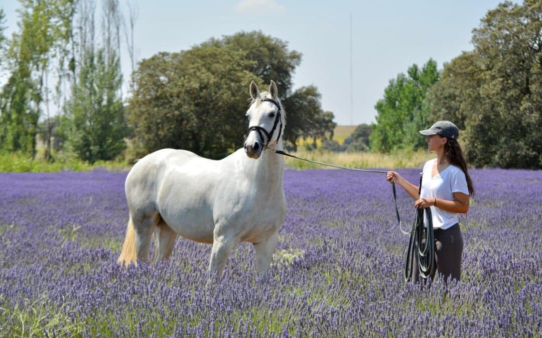 Conocemos a la CDE PDV Constanza