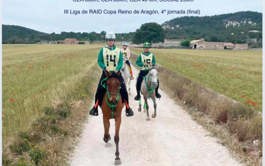 VIII Raid Villa de Goya