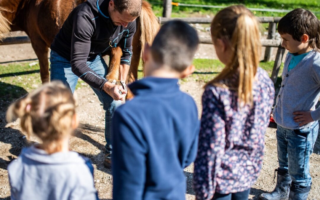 La vuelta al cole y los primeros pasos en la hípica