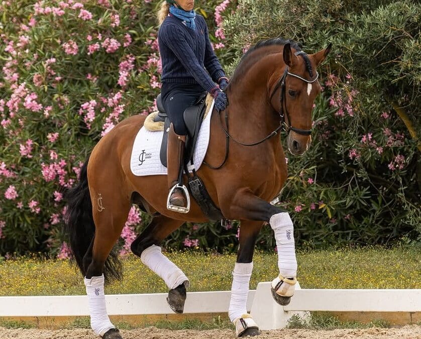 Un accidente vacacional aparta a María Caetano del Campeonato Mundial de Doma