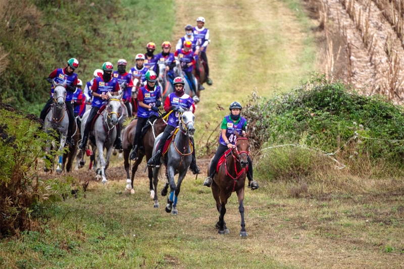 Resultados de nuestra expedición española en el Mundial de Raid de Caballos Jóvenes 2025