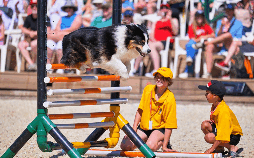 Diversión más allá del Salto en Spruce Meadows