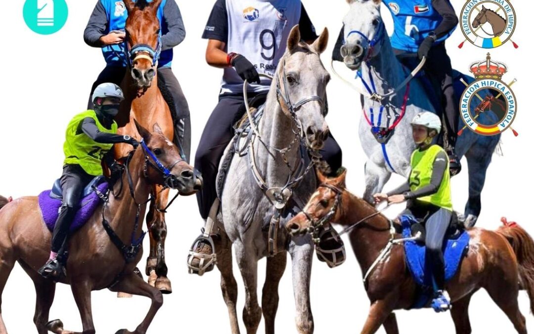 El 27 de septiembre dará comienzo el Campeonato de Canarias de Raid