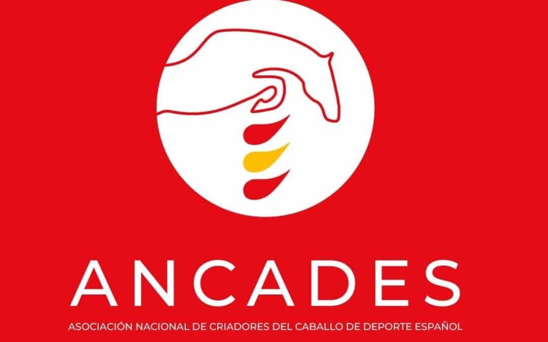 Calendario de pruebas ANCADES 2025 en Segovia