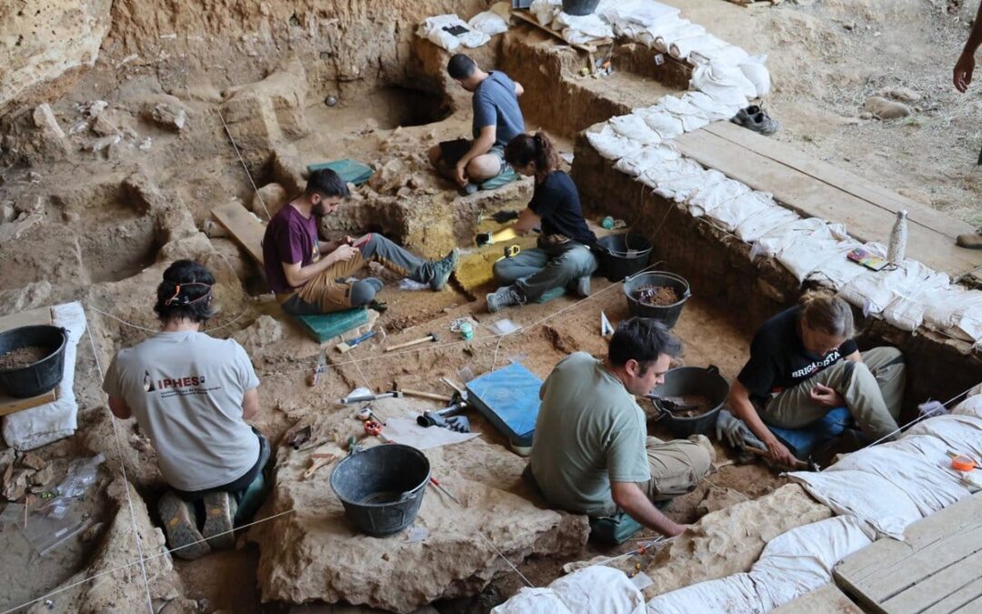 Descubren en Guadalajara restos de caballos de hace 36.000 años que podrían pertenecer al linaje ibérico