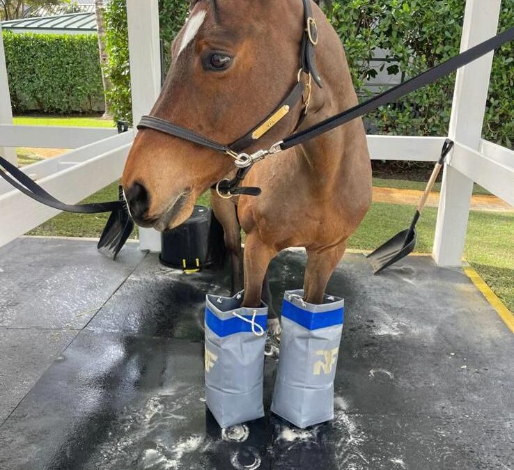 Rodeo Solutions, el ritual de los mejores en Spruce Meadows