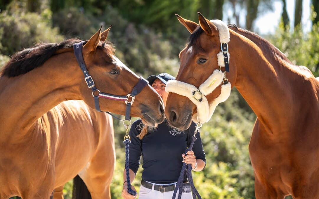 Un hijo de Arcadia, la yegua de Sofía Dolegowski, destaca en el Morocco Royal Tour 2025