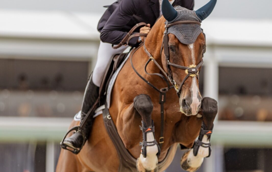 Alex Codina, mejor español en el Gran Premio del CSI2* de St. Tropez
