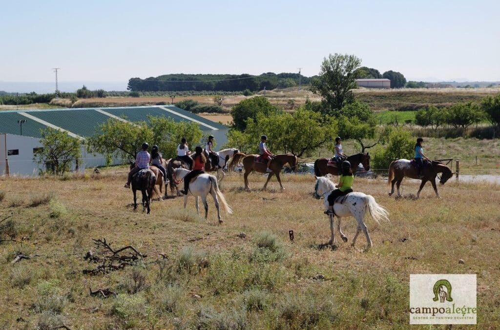 El Club Hípico Campo Alegre acogerá el Campeonato de España de Raid el 1 de noviembre