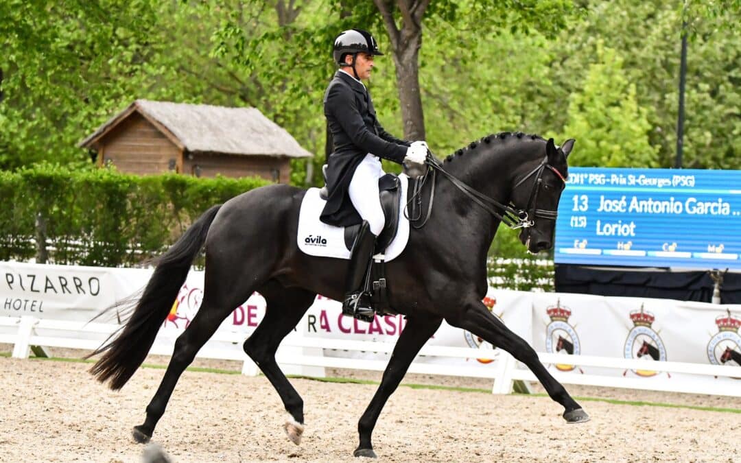El Campeonato de España de Caballos Jóvenes arranca en Segovia