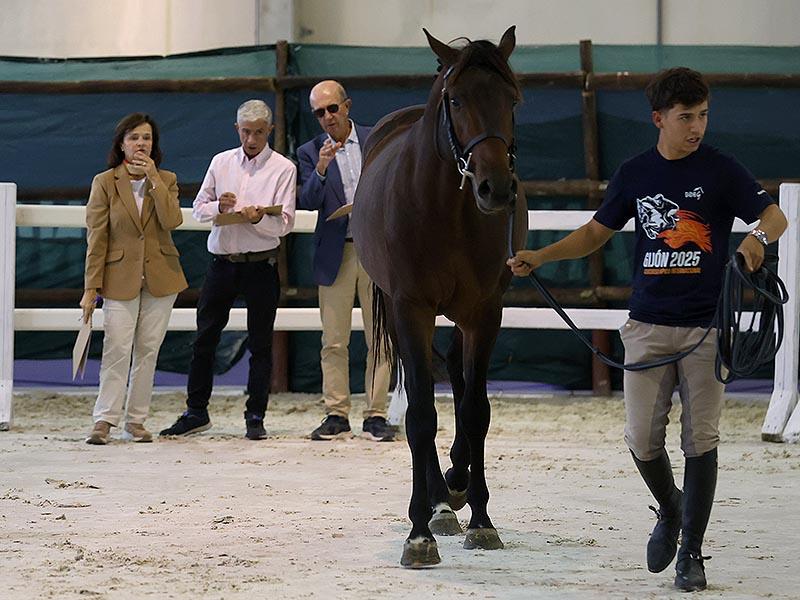 Primeros líderes en el Concurso Morfológico ANCADES 2025