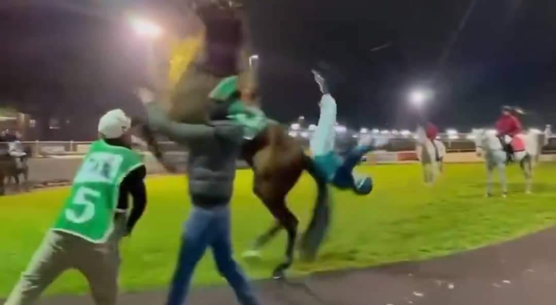 Michael Hellyer sufre una conmoción cerebral tras caer del caballo durante una competición