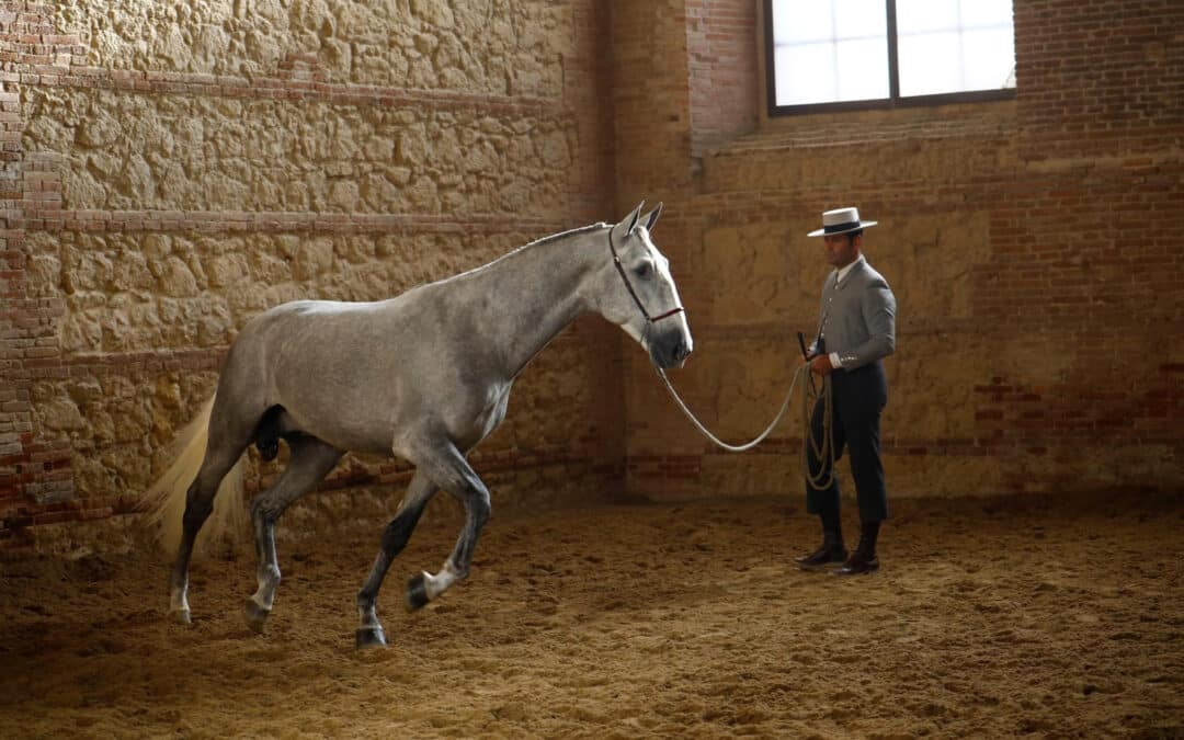 Cabalcor 2025 bate récords en número de participantes y espera una masiva afluencia de público