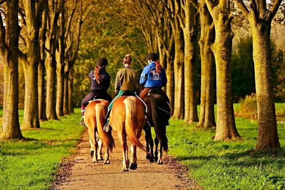 Rutas a caballo para disfrutar del paisaje otoñal en plena naturaleza