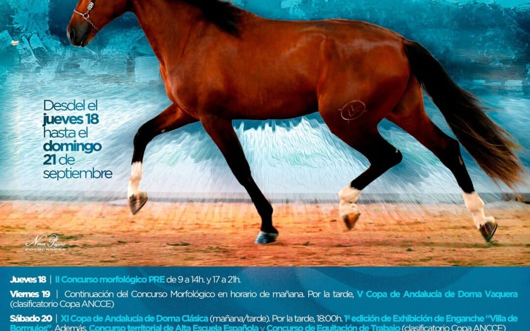 Bormujos celebrará su concurso hípico con actividades y una yincana de ponis para niños