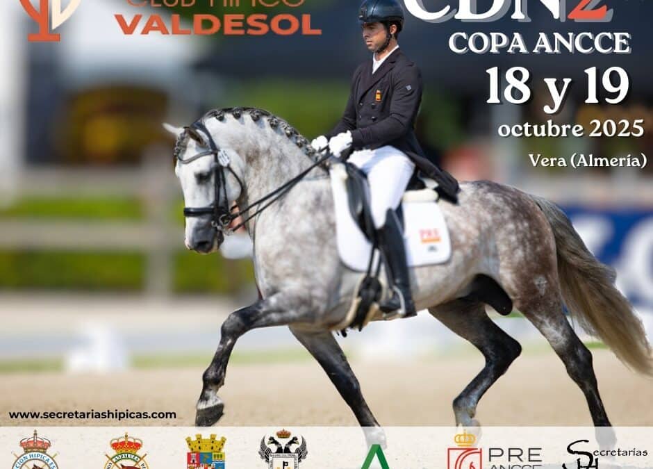 Un CDN2* en el Club Hípico Valdesol los días 18 y 19 de octubre