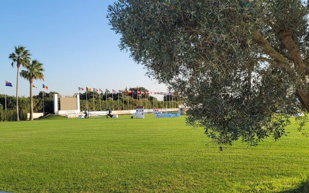 Emeralds F1 con Jesús Torres García y Valquiria de Capellán con Santiago Núñez Rivas se imponen en las primeras calificativas de 7 y 6 años