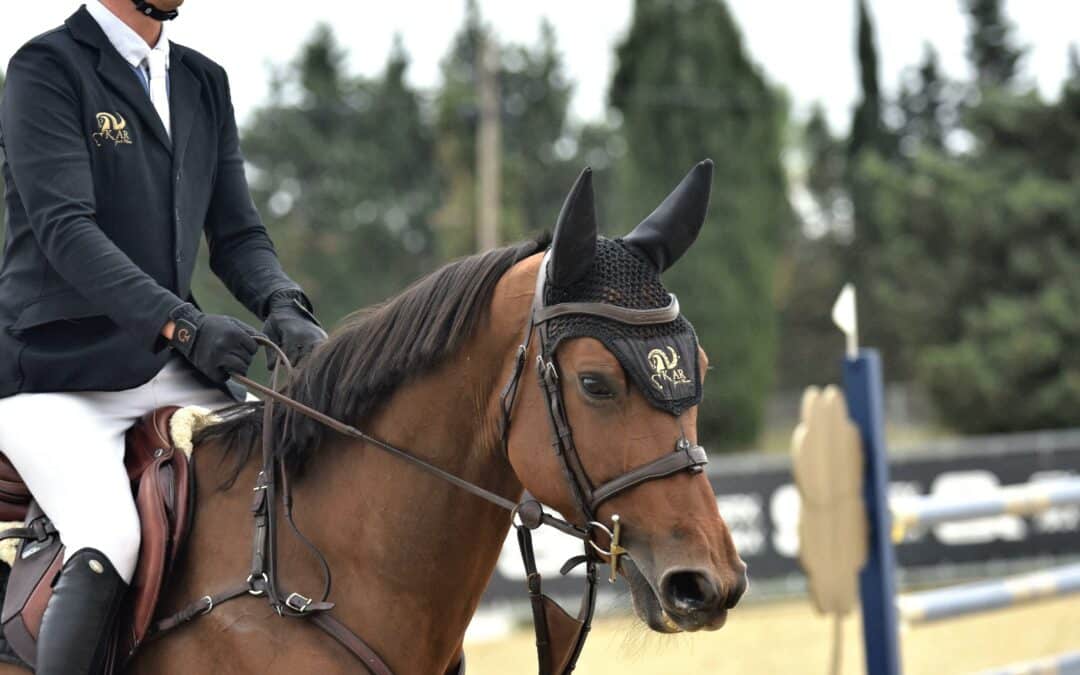 KAR Sport Horses apuesta por el desarrollo de la hípica internacional 