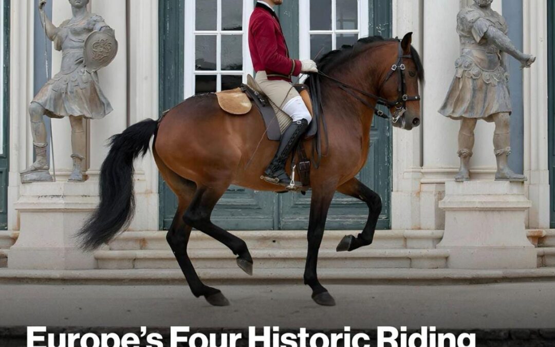 Abu Dabi acogerá por primera vez a las cuatro escuelas clásicas de equitación europeas