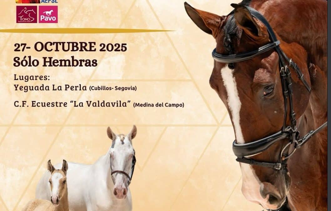 El Pura Sangre Lusitano se cita en Mythos el 28 de octubre
