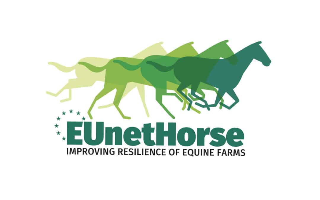 Luanco se convierte en sede europea del sector equino en 2025