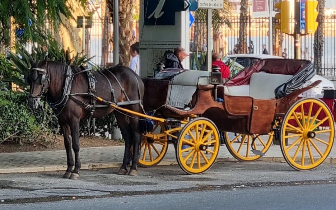 Málaga pone fin a los coches de caballos y revoca todas las licencias