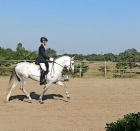 La Junta de Extremadura abre una línea de ayudas de 100.000 € para la cría, selección y doma