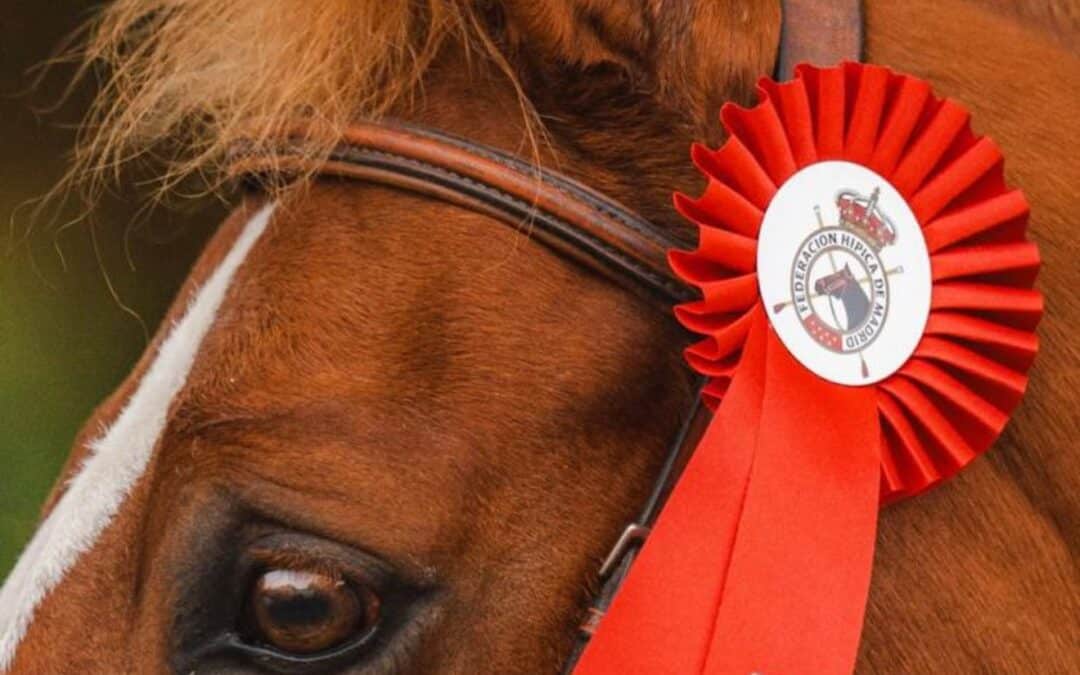 Última jornada este domingo con los Grandes Premios FHM en el XLVI Trofeo Princesa de Asturias