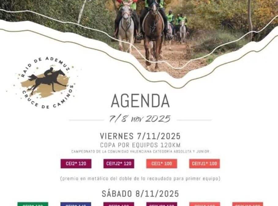 Ademuz acogerá el XXIV Raid Hípico con récord de participación internacional